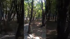 База отдыха ..Восход.. Бухта Инал, золотая осень, бархатный сезон, ПРИЕЗЖАЙТЕ! Будем рады, красивая