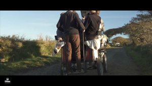 Green Road - The Rocky Road To Dublin