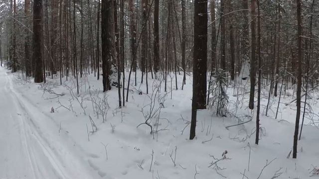 Влог Поездка на дачу. Покатаемся на снегоходе. Погуляем по лесу. Поболтаем. смотреть онлайн