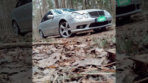 Душистый план гитара устала❤️🌹❤️🌹