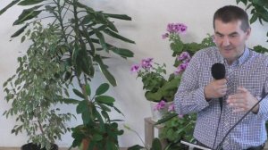 Жертва хвалы