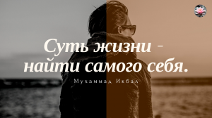 Цитаты о Жизни