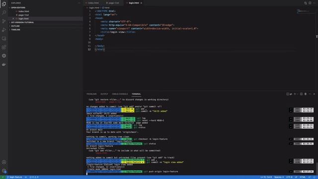 Git and Github for version control  (part-11 git branches and tag)