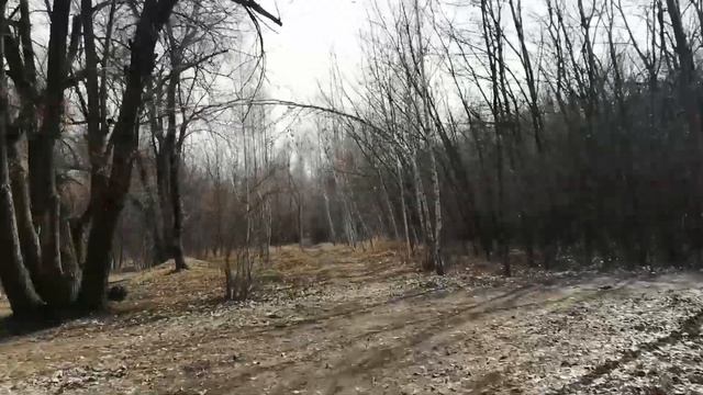 Алма-Ата на моноколесе. Роща Баума. смотреть онлайн