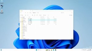 windows 11 Raspberry Pi 5