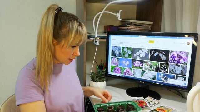 Посадка гайлардии, многолетней лобелии и лунарии. Как выглядят семена и как сажаю смотреть онлайн