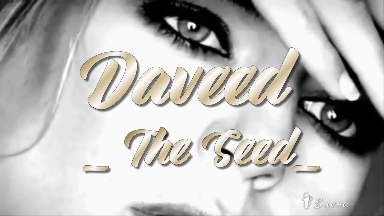 Daveed   ------  The Seed  -----