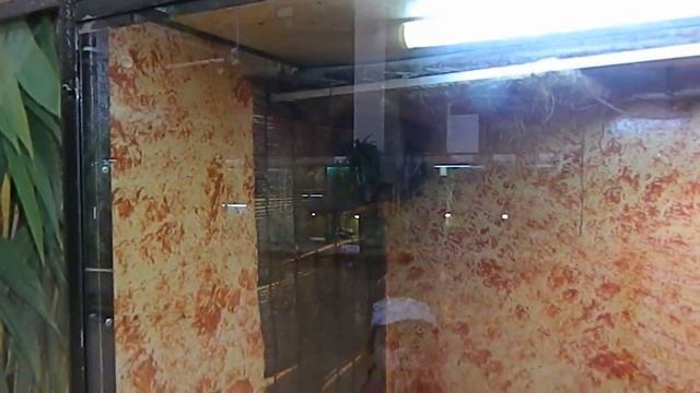 Соня на выставке экзотических животных