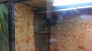 Соня на выставке экзотических животных