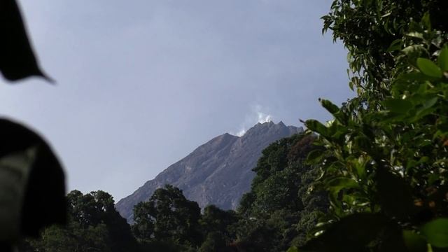 FIELD TRIP WITH PATRICK BLANC IN JAVA - PART 2 смотреть онлайн