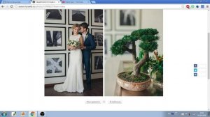 Критика свежих фотографий Mywed 4 часть