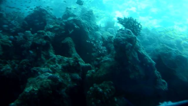 Обсерватория Эйлата смотреть онлайн