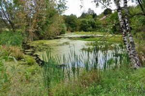 174.Деревенское ведро.mp4