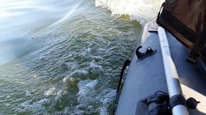 Боровое Обское водохранилище.