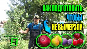 КАК ПОДГОТОВИТЬ ПЛОДОВЫЕ ДЕРЕВЬЯ И КУСТАРНИКИ, ЧТОБЫ НЕ ВЫМЕРЗЛИ? ЭКОСАД (ОГОРОД) И ТЕПЛИЦА 22-35