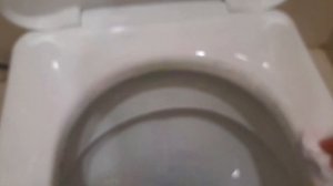 КАК ПРАВИЛЬНО ПОСЕЩАТЬ ОБЩЕСТВЕННЫЙ ТУАЛЕТ!