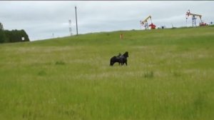 Сабантуй-2022 в с.Аксаитово Татышлинского района РБ