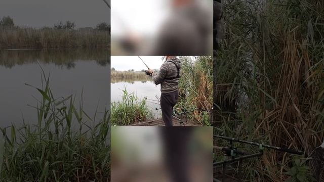 Секрет клёва рыбы #рыбалка смотреть онлайн