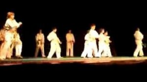 Karate Shotokan Показательное выступление 1* kata Анатолий Костанцо