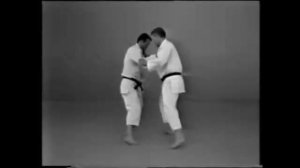 Judo swallow counter - Tsubame gaeshi