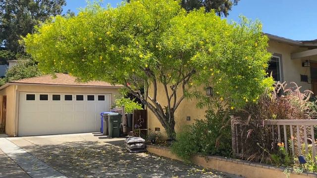 Tour of Trees Summer 2020 смотреть онлайн