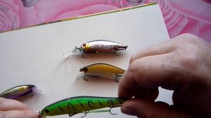 Мои 10 лучших воблеров на щуку прошедшего сезона