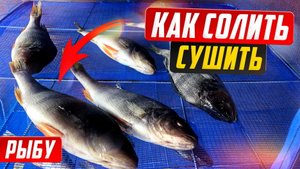 Мокрый посол и вяление рыбы. Как правильно солить, вымачивать, сушить рыбу.
