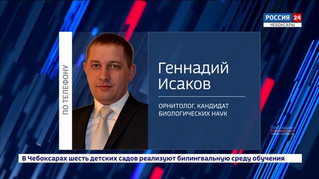 На территорию ГТРК «Чувашия» прилетела погостить редкая сова смотреть онлайн