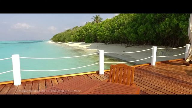Video Palm Beach Maldive смотреть онлайн