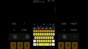 Telegram Firibgarligi uchun skript telegram vizlom telegramni buzish  python hakerlik #hacker