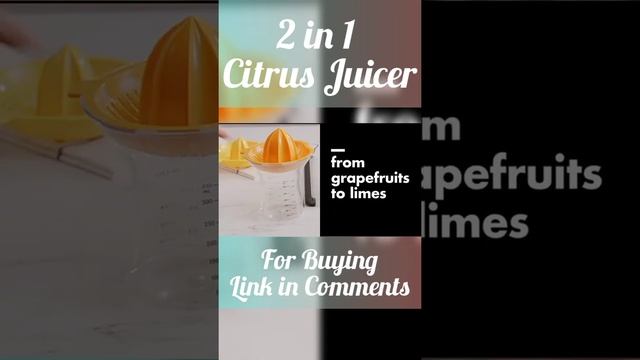 Citrus Juicer | Kitchen Hacks | Food Secrets | Juice Maker