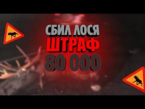 СБИЛ ЛОСЯ!? | ШТРАФ 80 000р. | САМЫЙ ТЯЖЁЛЫЙ РЕЙС.