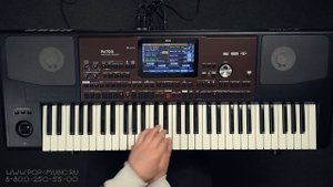 KORG Pa700 Музыкальная рабочая станция