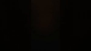 Есть ли душа у животных . ИНГА ХОСРОЕВА . ВЕДЬМИНА ИЗБА ?