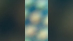 Девочка упала головой вниз на аттракционе в парке Гагарина