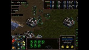 Starcraft BGH Big Game Hunters 3v3 # ZZP vs TTP - Replay