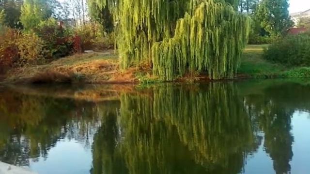 Людмила Зыкина - “Ивушка”