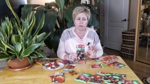 ЛУЧШИЕ СОРТА ТОМАТОВ СЕЗОНА 2019  Делимся наработками / Садовый гид