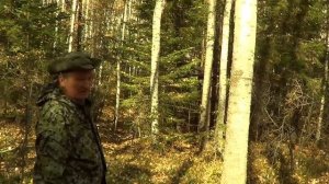 Забытый зверовой солонец Старинный, с сидьбой ( лабаз ) в тайге