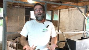 Как заработать в деревне денег сразу и стабильно?!