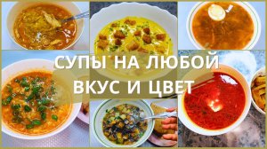 10 рецептов домашних супов на любой вкус и цвет. Пошаговый рецепт супа. Супы. Как приготовить суп.