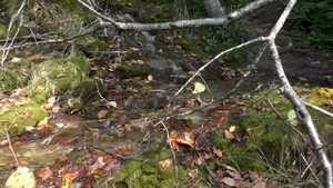 7 ключей ? Вереи