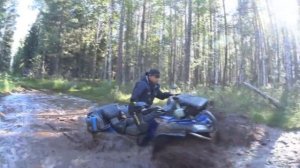 Baltmotors Jumbo 700, CFMOTO, Arctic Cat