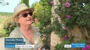 Le jardin de l'abbaye de Valsaintes voit la vie en rose (Alpes de Haute Provence)