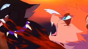 вся правда о Снежке!\\коты воители\\