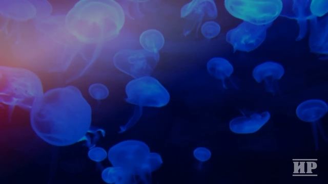 7 способов начать ЦЕНИТЬ СЕБЯ