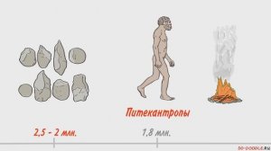 Происхождение человека. Антропогенез.