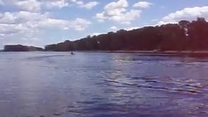 без крыла дельфинирование