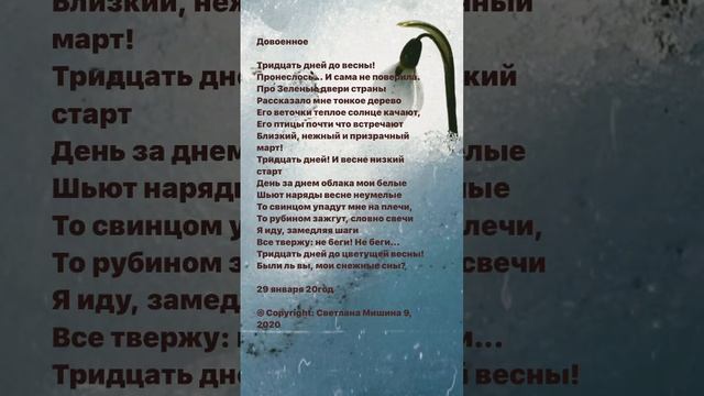 Тридцать дней до весны. Стихи. Светлана Мишина