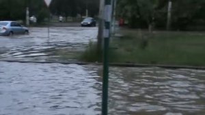 Отплываем в тёплый  край навсегда.